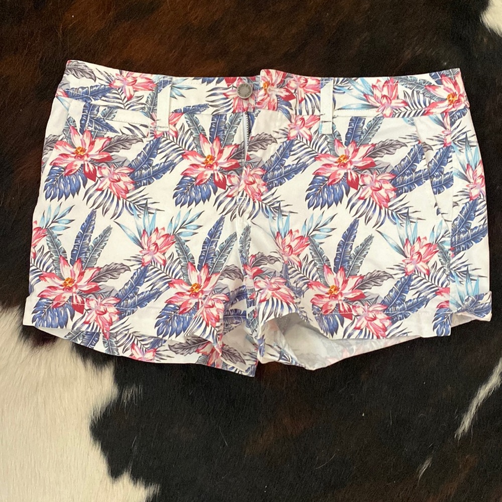 Market & Spruce Shorts